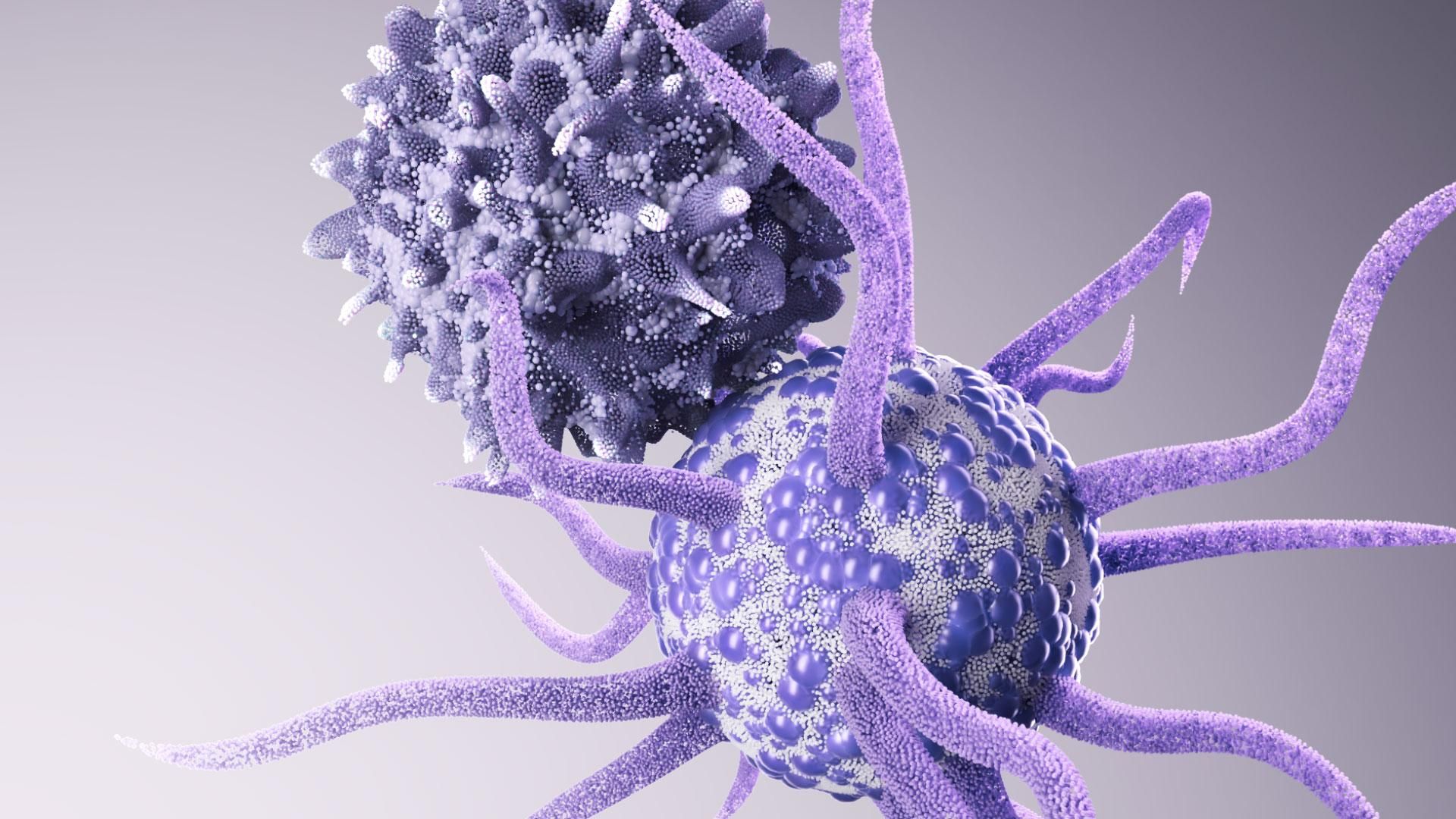 Représentation 3D d'une cellule T montrant sa structure et ses récepteurs