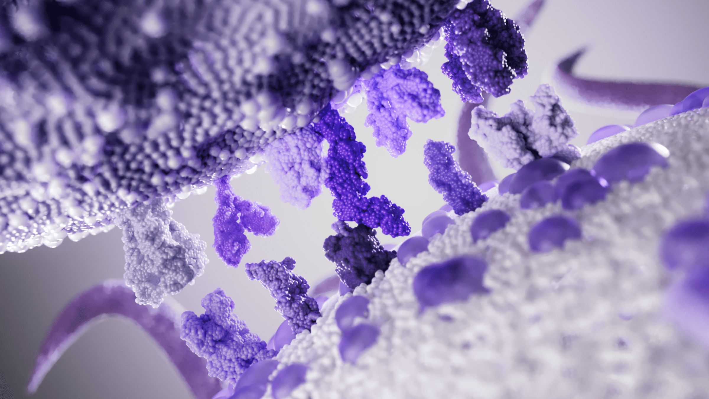 Un modèle de cellule T, gros plan en 3D